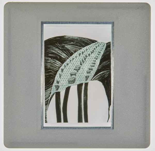 1997 MA Printmaking Degree Show Slide - Creator unknown
