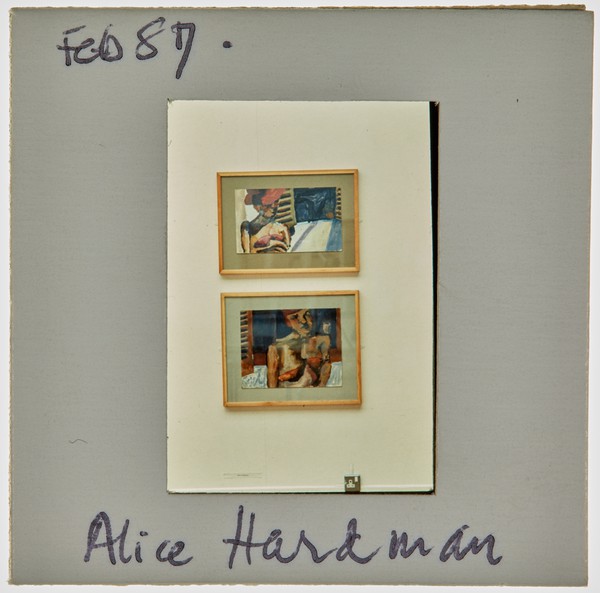 1987 South London Gallery Exhibition Slide - 'Alice Hardiman'
