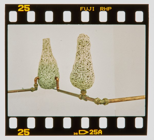 2000 Joint Honours Degree Show Slide - Creator unknown