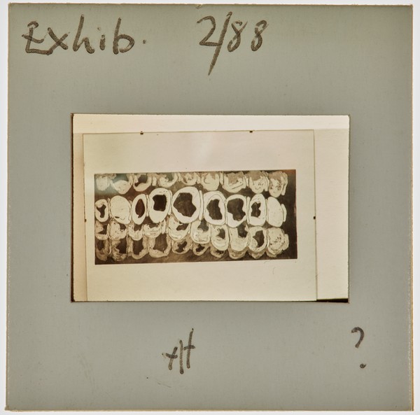 1988 Sculpture Exhibition Slide - Creator unknown