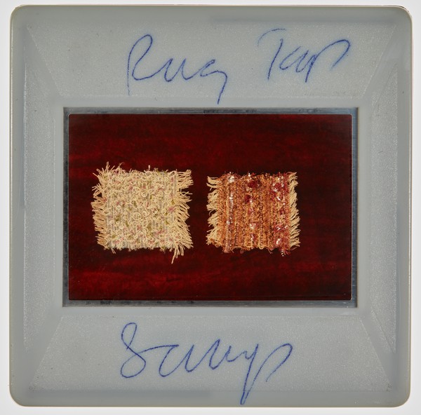 1981 2nd Year Paper Making Slide - Creator unknown