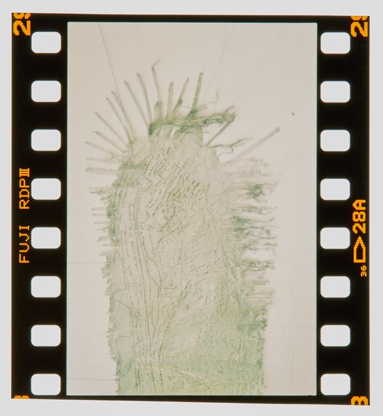 2001 BA Painting Degree Show Slide - Creator unknown