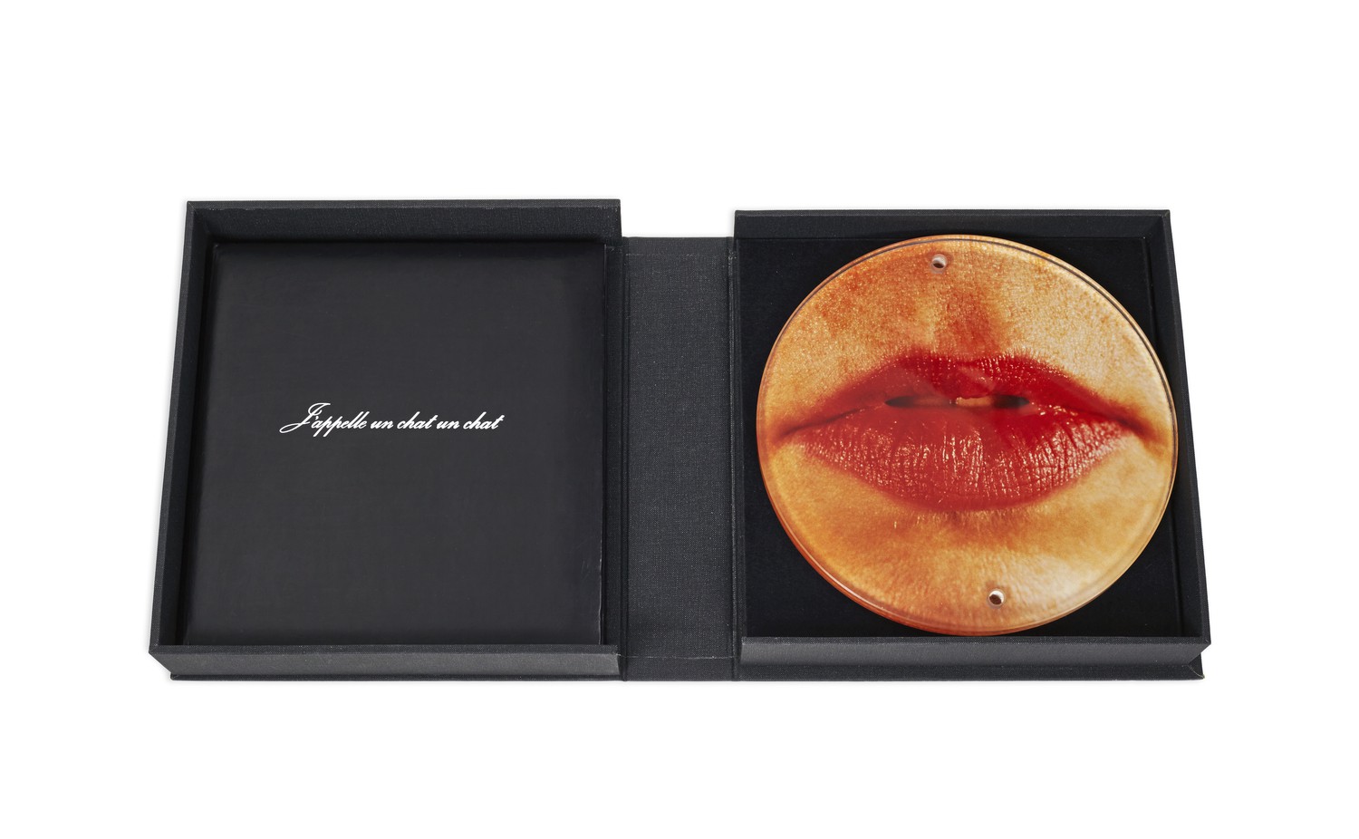 J'appelle un chat un chat / - Sharon Kivland; video by Shelagh Wakely.