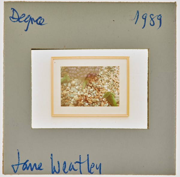 1989 BA Degree Show Slide - 'Jane Wheatley'