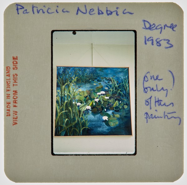 1983 BA Degree Show Slide - 'Patricia Nebbia'